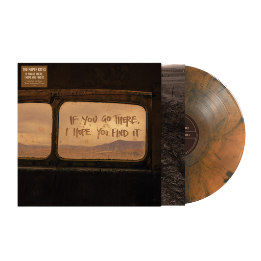 If You Go There, I Hope You Find It Vinyl LP