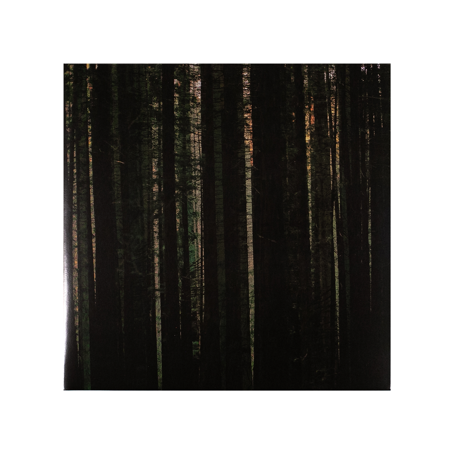 Evergreen - Vinyl LP